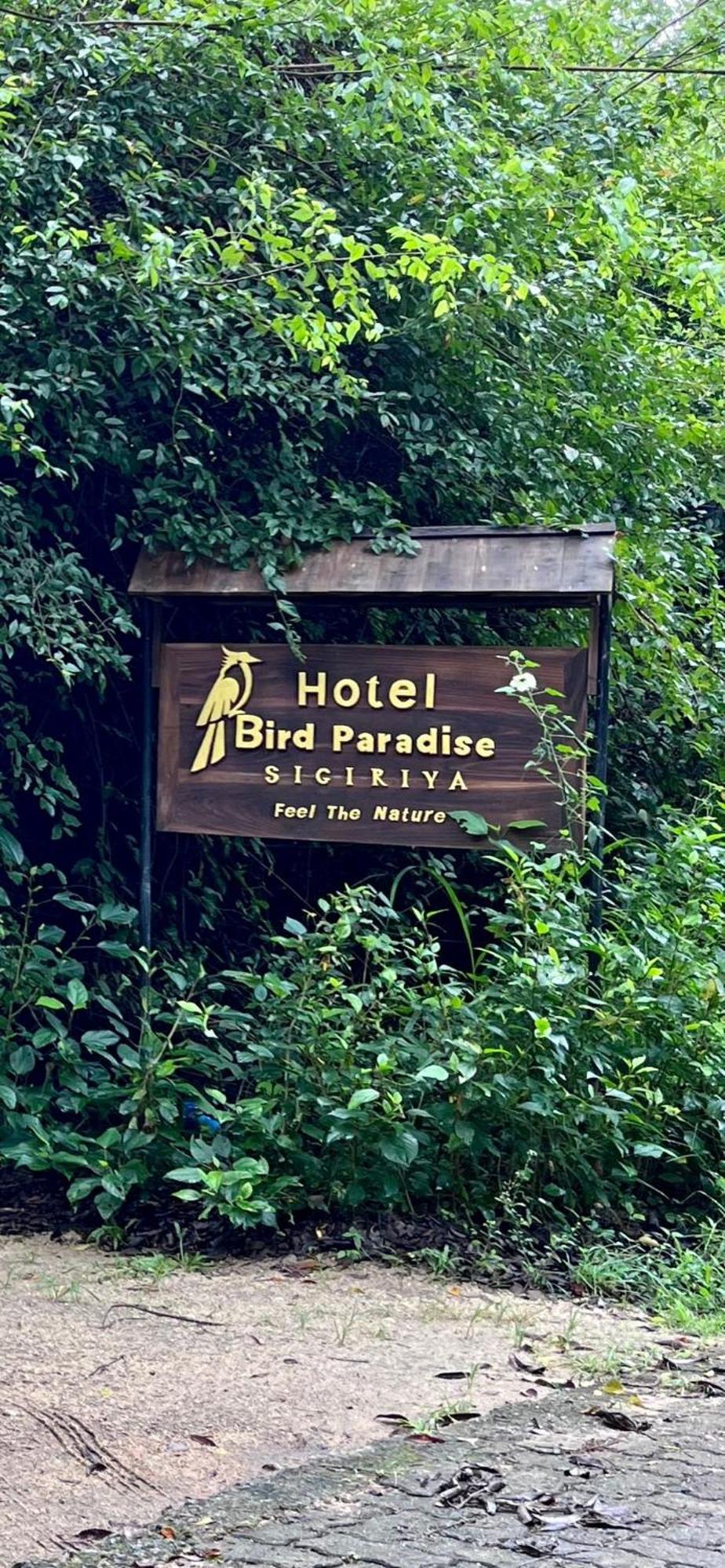 Hotel Bird Paradise Sigirîya Extérieur photo